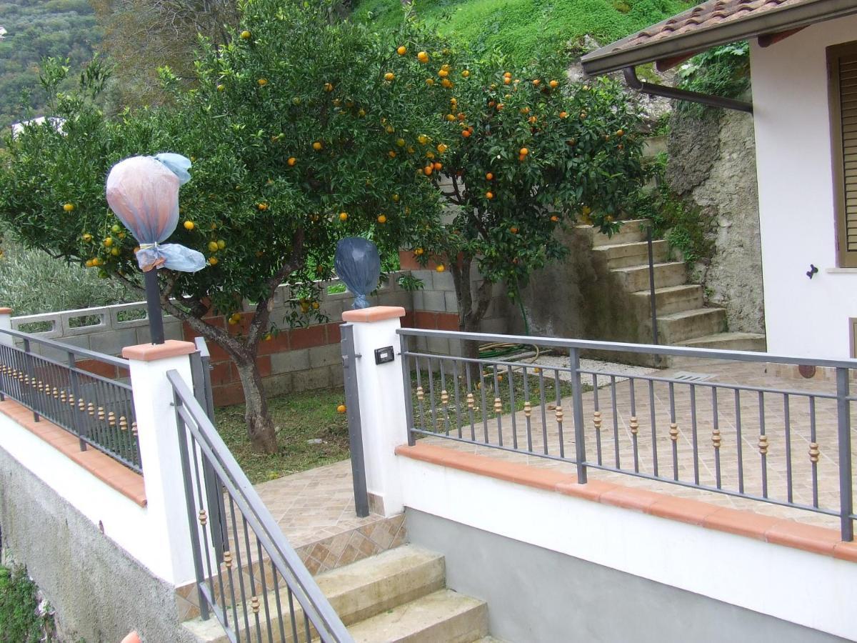 Relax Vista Eolie Apartment Piraino Luaran gambar